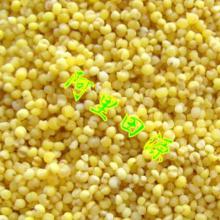 小米产业全景 从田间到餐桌的价格、批发与厂家深度解析