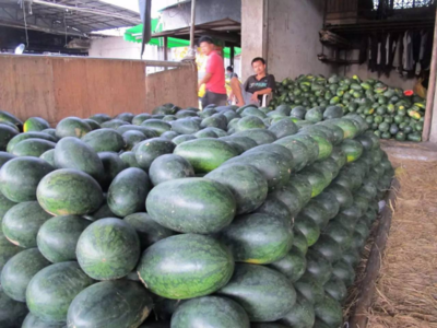 农产品质量安全十大谣言全解析 食用农产品批发市场真相揭秘